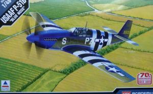 USAAF P-51B Mustang "Blue Nose"