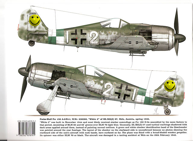 Fw 190s over Europe Part II