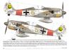 Fw 190s over Europe Part II