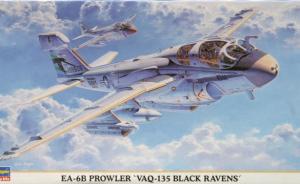 Grumman EA-6B Prowler "Black Ravens"