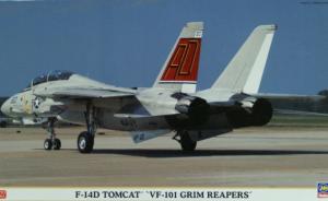 Grumman F-14D Tomcat