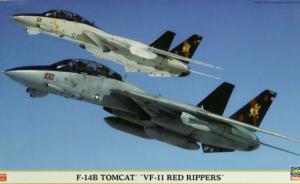 Grumman F-14B Tomcat