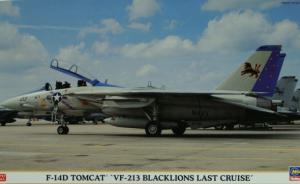 Grumman F-14D Tomcat