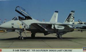 Grumman F-14B Tomcat