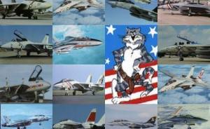 Bausatz: Tomcats