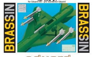 Detailset: R-13M missiles w/ pylons for MiG-21