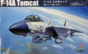 F-14A Tomcat