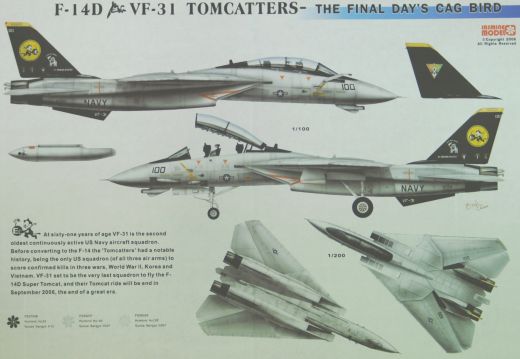 Jasmine Model - F-14D VF-31 Tomcatters