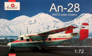 An-28 "Cash"