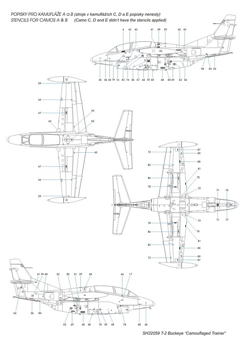 T-2 Buckeye "Camouflaged Trainer"