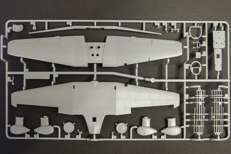 Fine Molds - C5M2 "Babs"