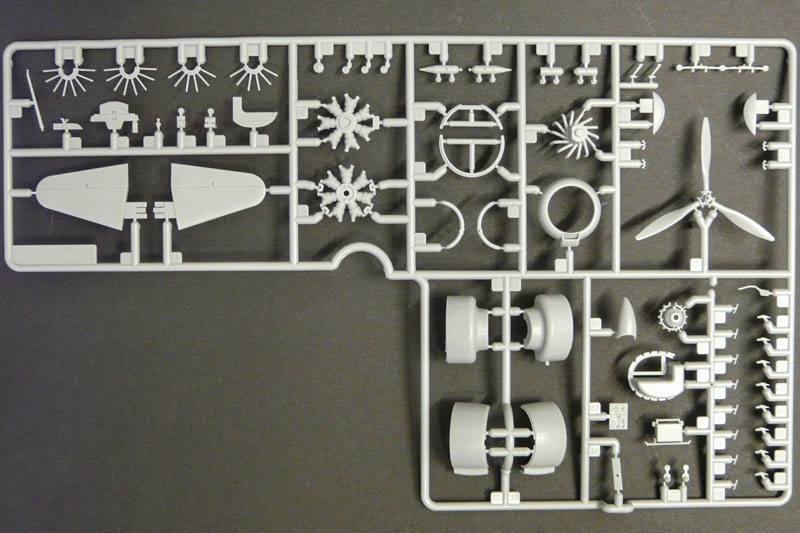 Fine Molds - C5M2 "Babs"