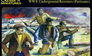 WWII Underground Resisters (Partisans)