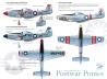 Hinweisblatt - F-/P-51D Mustang der US Nationalgarde und Taiwans