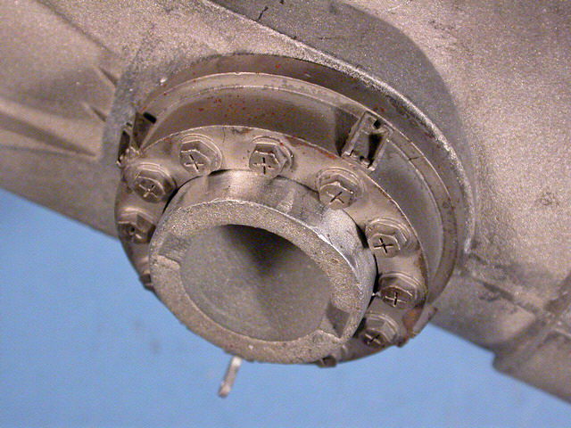 Detail in Großaufnahme