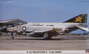 F-4J Phantom II 'CAG Bird'