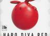 Haro Diva Red