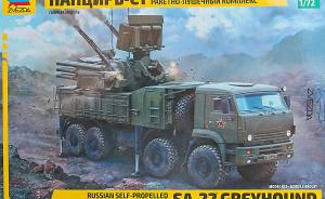 Pantsir-S1 von 