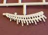 Stegosaurus Skeleton
