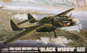 : Northrop P-61A Black Widow