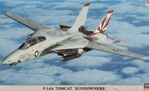Detailset: F-14A Tomcat 'Sundowners'