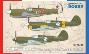 Bausatz: P-40M Warhawk 