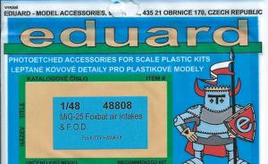 MiG-25 Foxbat air intakes & F.O.D.