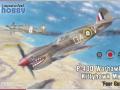 P-40D Warhwak / Kittyhawk Mk.I "Four Guns" von Special Hobby