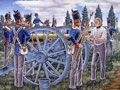 Britische Fu?artillerie (Napoleonische Kriege)
