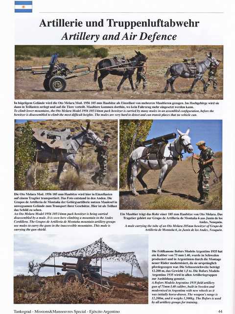  - Ejército Argentino - Vehicles of the Modern Argentine Army