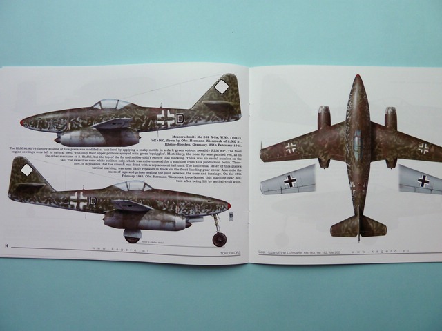  - Last Hope of the Luftwaffe