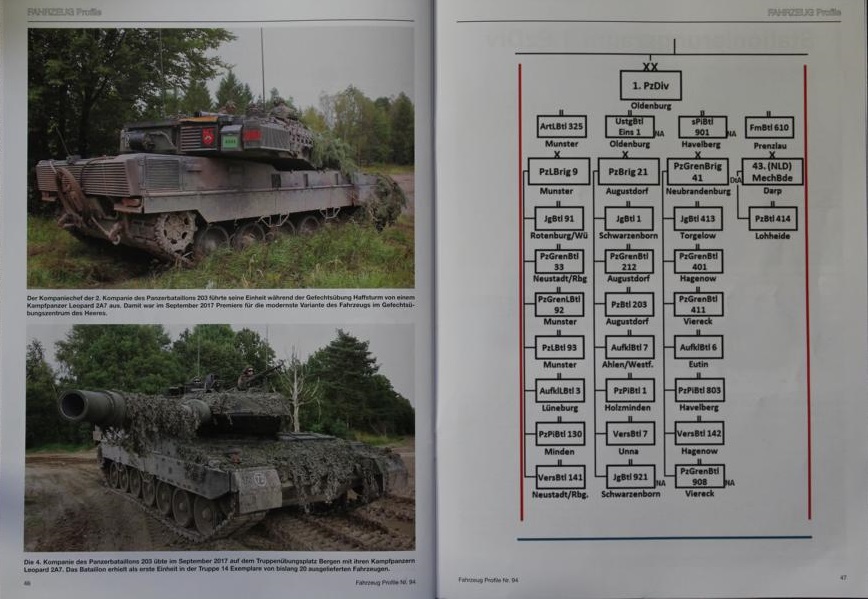  - Die 1. Panzerdivision im HEER2011 