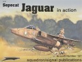 Sepecat Jaguar in action